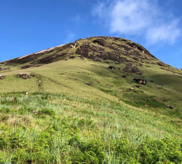 Hikers climbing the grassy slopes of Haritha Kanda Mountain in Sri Lanka