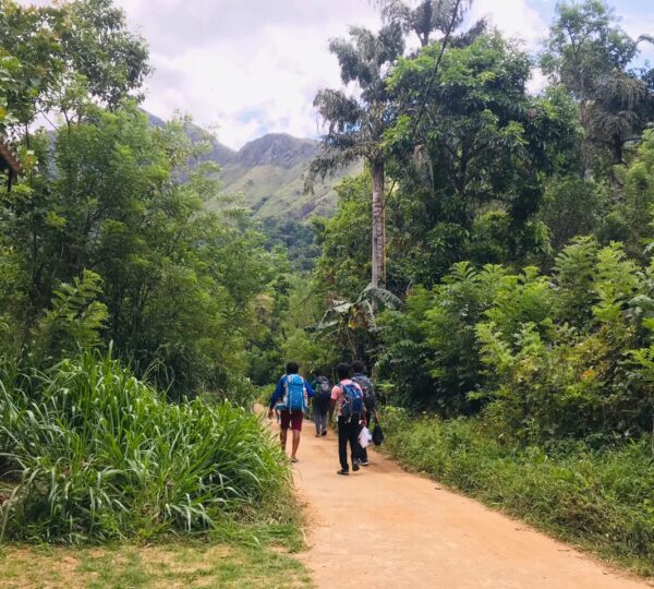 Forest trail leading to Yahangala with lush greenery on both sides.
