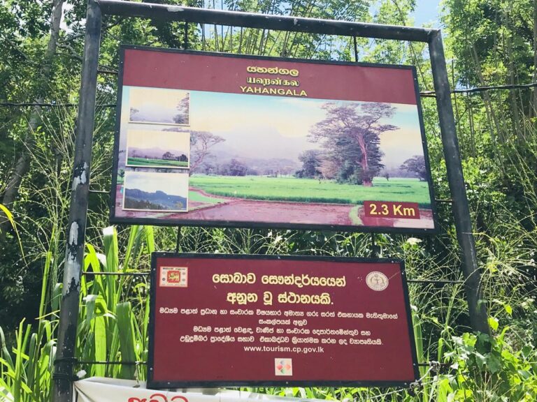Yahangala Rock Mountain Hike