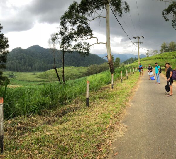 Travelers walking along the scenic road leading to Haritha Kanda Mountain